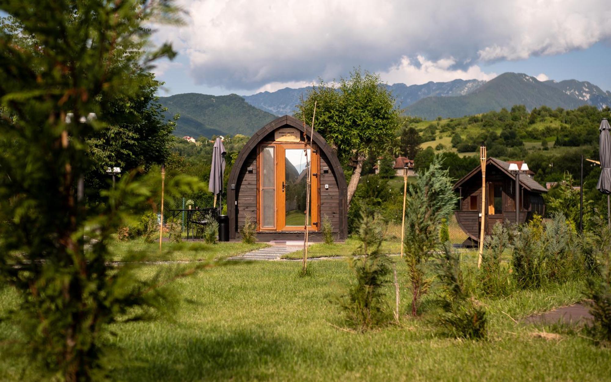 Glamp In Style Pods Resort Bran  Luaran gambar