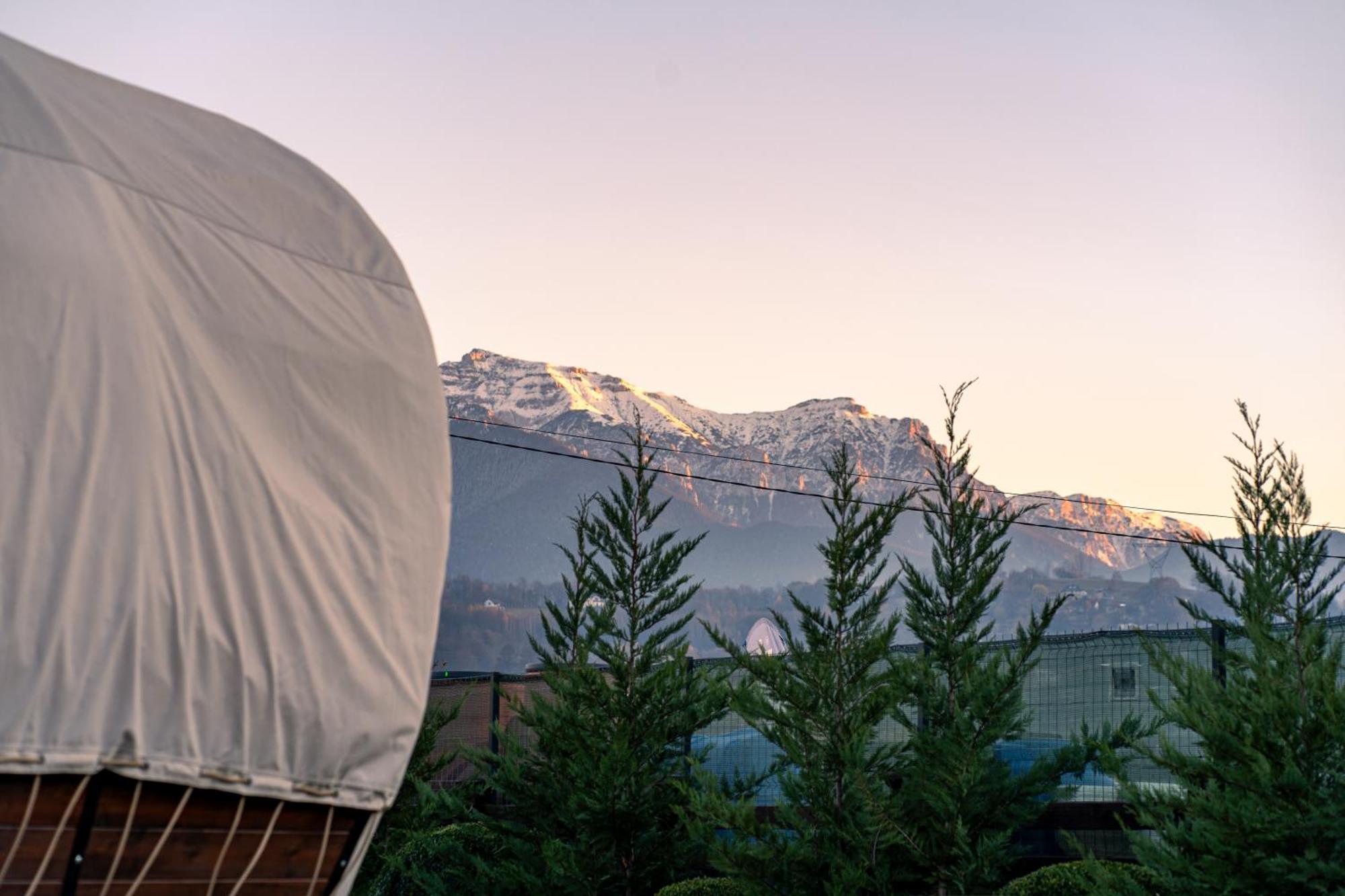 Glamp In Style Pods Resort Bran  Luaran gambar